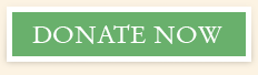 Donate Safely Online
